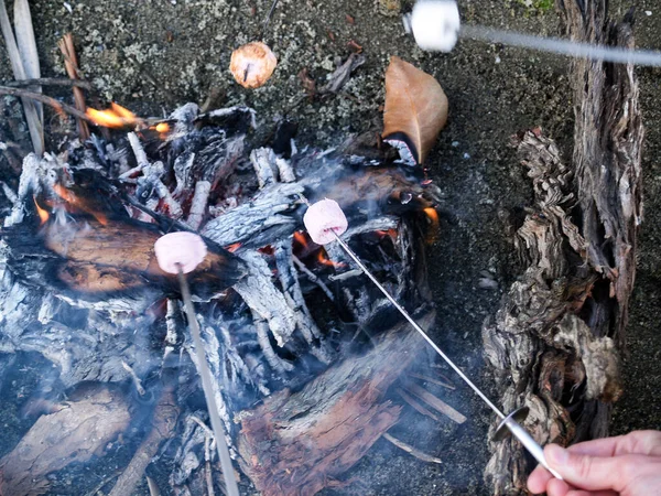 Traditional Fun Roasting Marshmallows Open Fire — Stock Photo, Image