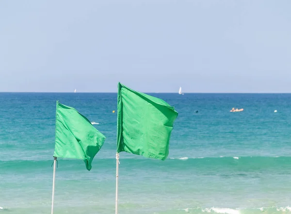 Due Bandiere Verdi Sullo Sfondo Costiero Sfocato — Foto Stock