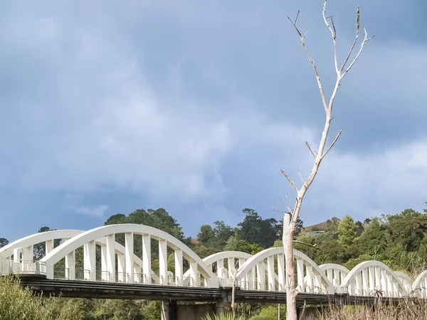 White Arching Structure Tuakau Bridge Waikato New Zealand — Stock Photo, Image