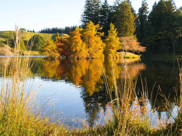 Autumn Morning Mclaren Falls Lake Golden Color Foliage Calm Water — Stock Photo, Image