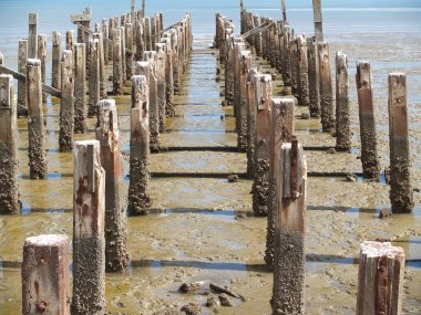 Thames Yeni Zelanda 'nın Firth of Thames' indeki sığ, çamurlu limandaki tarihi iskele noktaları..