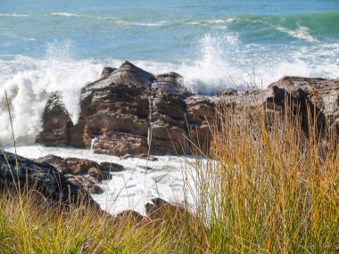 Dalgalar Maunganui Dağı 'nın etrafını sardı.