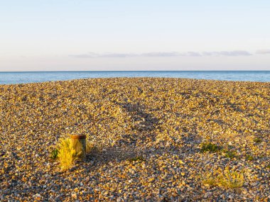 Güneş doğarken taşlı sahil. Su ve ufukta turuncu çakıl taşları var..