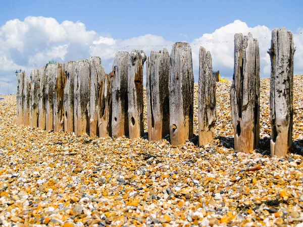 Old Weathered Breakwater Posts Stony Beach Plymouth Waterfront South England — Stock Photo, Image