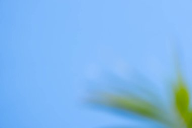 Bulanık efekt yumuşak ton doğa arka plan mavi ve yeşil