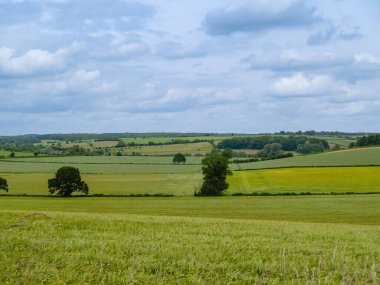 İngiliz kırsal bölgesi ve bulutlu gökyüzü yeşil ve sarı tarlalarda.