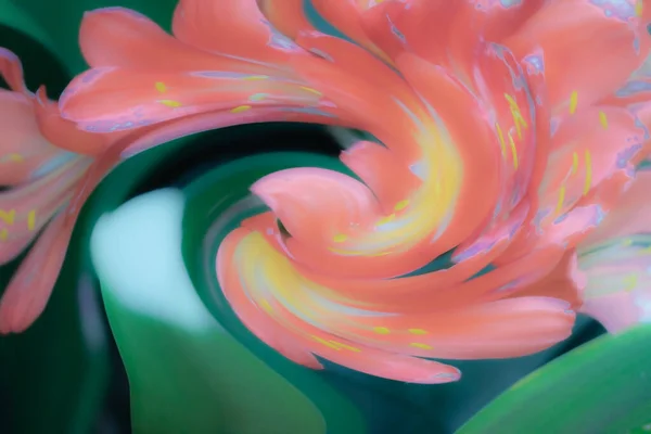 Abstract Floral Effect Clivia Flower Swirl — Stock Photo, Image