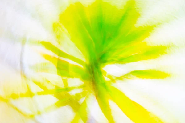 植物在运动和宏观上的自然花卉抽象色泽涡旋效应 — 图库照片