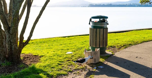 Tauranga Nowa Zelandia Październik 2022 Mewa Zbierająca Śmieci Przepełnionego Kosza — Zdjęcie stockowe
