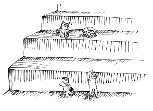 Little Kittens Steps Black White Illustration Drawn Hand — Stock Photo, Image