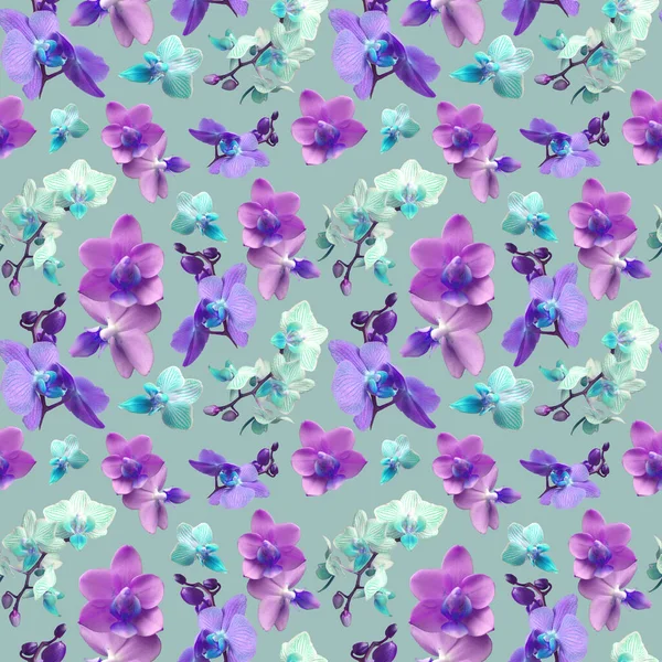 Orquídea Púrpura Sobre Fondo Gris Claro Flores Aisladas Patrón Floral —  Fotos de Stock
