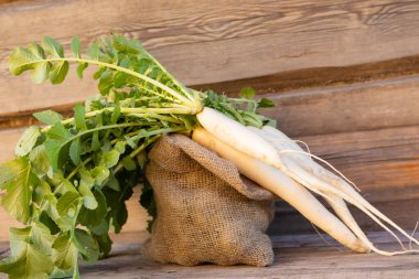 eko torbasına turp daikonu, tarım kavramı