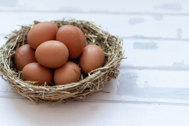 Beyaz arkaplanda bir yuvada yumurtalar. Fiyat ve metin için bir yer.