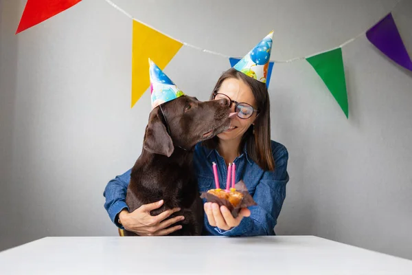 O aniversário dos cães. o feriado é o aniversário de um animal de estimação. velas e um bolo para um Labrador retriever — Fotografia de Stock