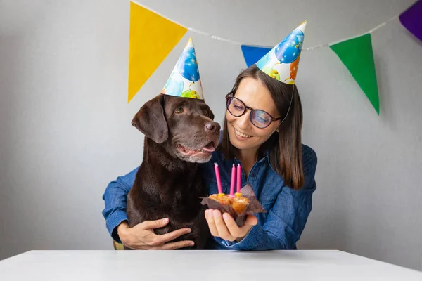 El cumpleaños de los perros. la fiesta es el cumpleaños de una mascota. velas y un pastel para un Labrador retriever — Foto de Stock