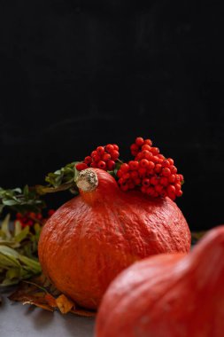 Sonbahar konsepti. Sonbahar yapraklı, karanlık bir arka planda balkabağı. Cadılar Bayramı ve Şükran Günü kutlaması
