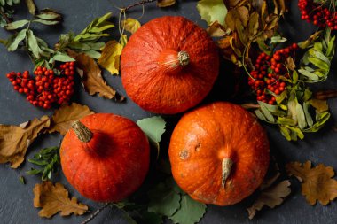Sonbahar konsepti. Sonbahar yapraklı, karanlık bir arka planda balkabağı. Cadılar Bayramı ve Şükran Günü kutlaması