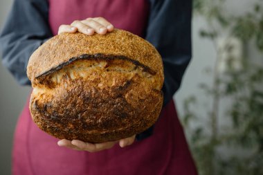 Mayasız ekşi ekmek. Avrupalı güzel bir fırıncı elinde ekmek tutuyor.
