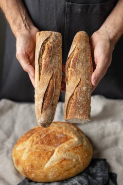 Yetişkin bir Avrupalı erkek fırıncı elinde yuvarlak taze bir ekmek tutuyor. Fırında bir adam mayalı ekmek ve baget tutuyor.. 