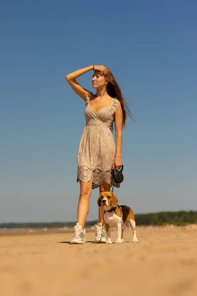 Una hermosa mujer europea pasea en la naturaleza con su perro beagle. fitness y yoga y meditación al aire libre. — Foto de Stock