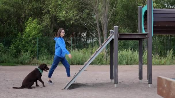 操场上的一个女人和一个拉布拉多猎犬正在训练狗。养狗人或宠物主人教狗服从命令 — 图库视频影像
