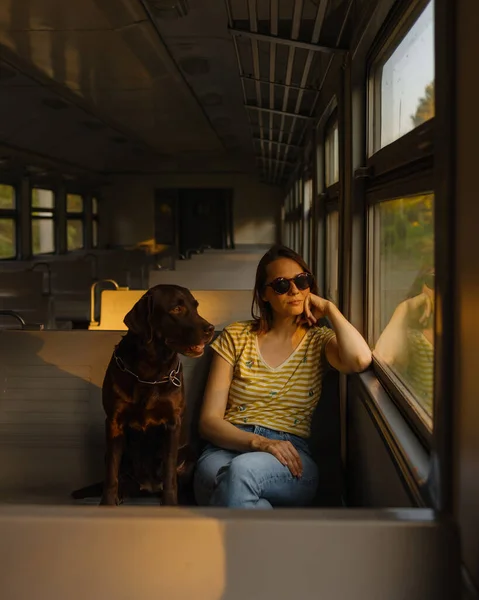 Una mujer europea en gafas de sol y un perro Labrador retriever en un vagón de tren vacío están conduciendo y mirando por la ventana. viajar con un perro en transporte público en la ciudad o a la naturaleza — Foto de Stock