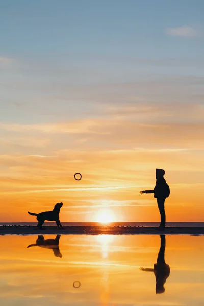 La silueta de un hombre sobre el fondo de una puesta de sol en un lago o mar. una mujer o un hombre en el fondo del sol poniente — Foto de Stock