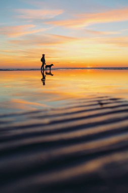 Gölde ya da denizde gün batımının arka planında bir adamın silueti. Batan güneşin arka planında bir kadın ya da bir erkek