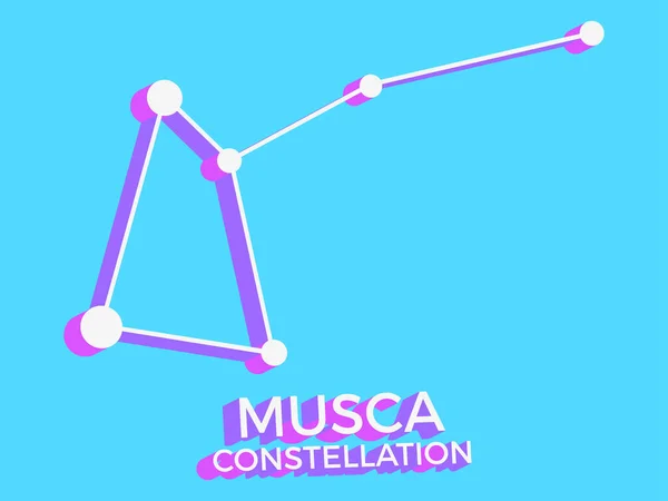 Musca Constelação Símbolo Ícone Constelação Estilo Isométrico Sobre Fundo Azul — Vetor de Stock
