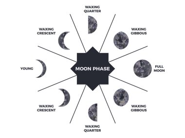 Ay aşaması. Ayın desenli yüzeyi. Döngü boyunca ay evreleri. Hilal tipi tasarım. Dünya uydusunun bir ay boyunca astronomik gözlemi. Vektör illüstrasyonu