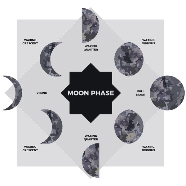 Fase Lunar Superficie Texturizada Luna Fases Lunares Largo Del Ciclo — Vector de stock