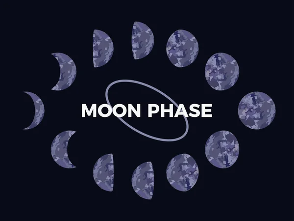 Měsíční Fáze Strukturovaný Povrch Měsíce Měsíční Fáze Během Celého Cyklu — Stockový vektor