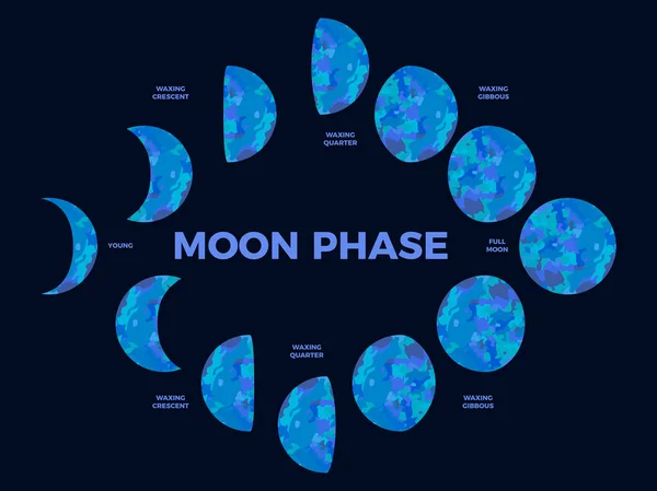 Aşaması Ayın Desenli Yüzeyi Döngü Boyunca Evreleri Hilal Tipi Tasarım — Stok Vektör