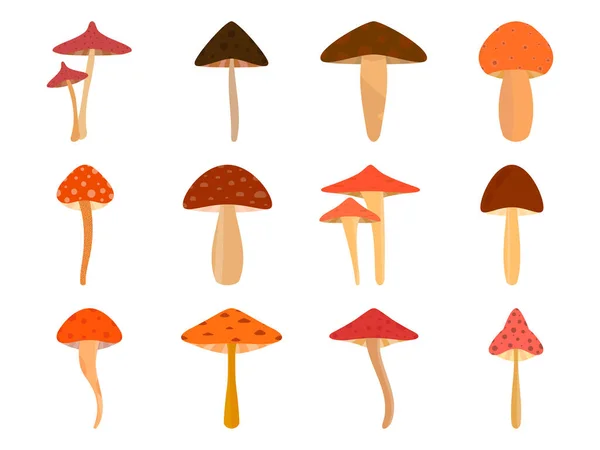 Set Mushrooms Isolated White Background Various Mushrooms Edible Toadstools Poisonous — Vetor de Stock