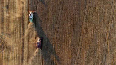 Hasatçılar buğday tarlasında tahıl hasat ediyorlar. Muhteşem yaz kırsal manzarası, insansız hava aracı manzarası..