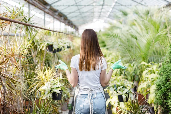 Çiçekler ve saksılarla çevrili seradaki önlüklü, saksıda çalışan kadın bahçıvan. Bahçe işleri, bitki ve bakım sevgisi.