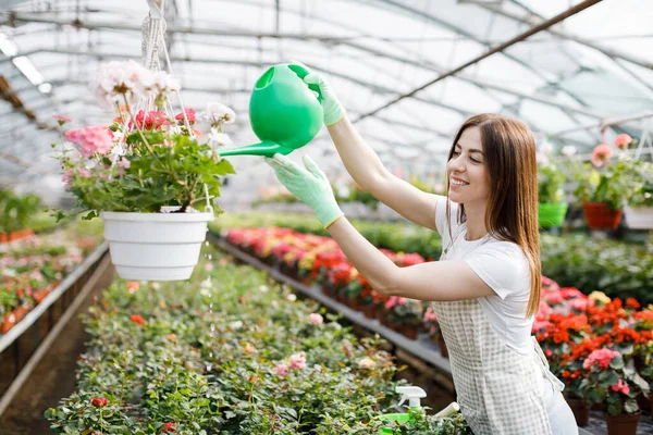 Genç bir kadın büyük bir seranın ortasında duruyor ve bir su bidonundan saksıları döküyor..