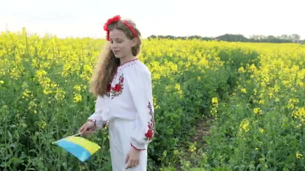 Pray Ukraine Child Ukrainian Flag Rapeseed Field Little Girl Holding — Video