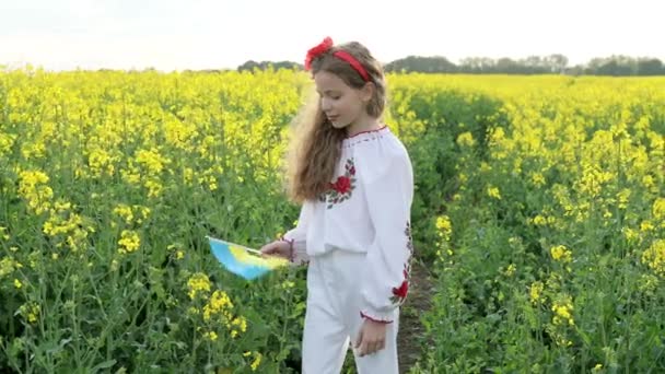 Bid Voor Oekraïne Kind Met Oekraïense Vlag Koolzaadveld Klein Meisje — Stockvideo