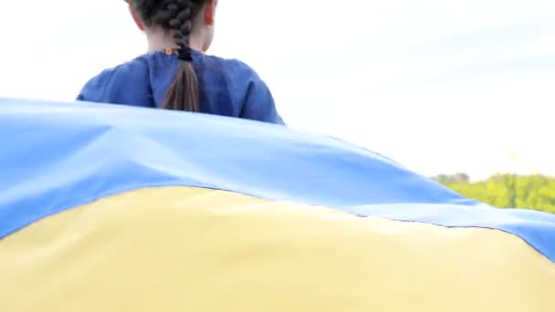 우크라이나를위해 기도하라 들판에서 우크라이나 국기를 국기를 — 비디오