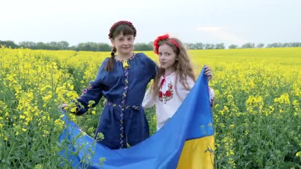 Pray Ukraine Two Cute Girls Holding Hands Blue Yellow Ukrainian — Stock Video