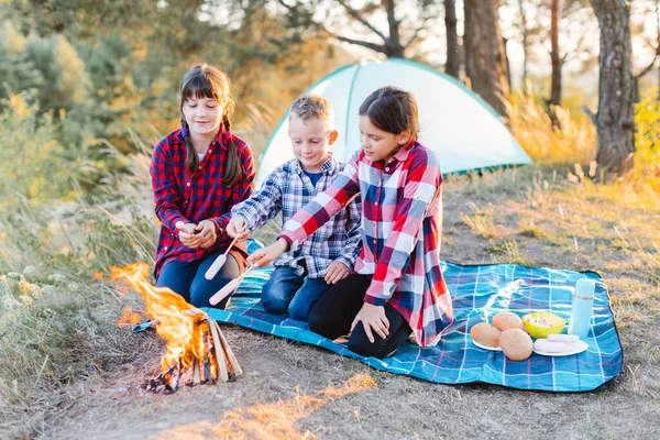 Cheerful Company Two Girls Boy Picnic Middle Forest Children Fry — Fotografia de Stock