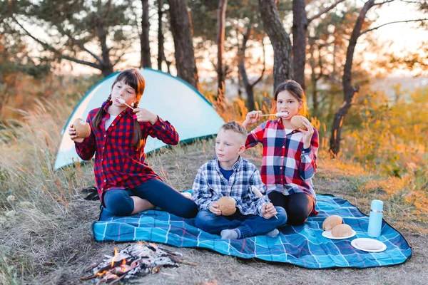 A cheerful company of two girls and a boy on a picnic in the middle of the forest. Children fry sausages on the fire, eat buns and have fun in nature