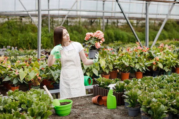 Young Woman Florist Spraying Water Houseplants Flower Pots Sprayer — Stock Photo, Image