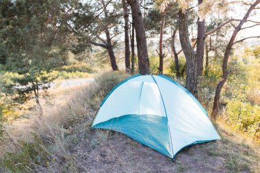 Yeşil bir çerçeve çadırı ormanın arka planındaki açıklıkta duruyor. Çadırın açık girişi, insan yok, yürüyüş ekipmanları, metal kemerler, iç güneşlik..