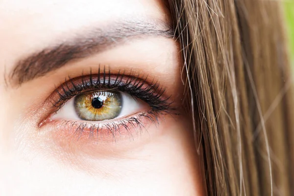 Kadın gözünün yakın plan görüntüsü. Güzel çizilmiş gözleri olan bir kadın.