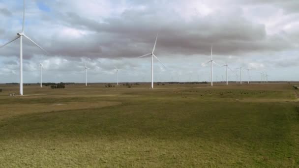 Windpark Mit Masten Für Erneuerbare Energien — Stockvideo