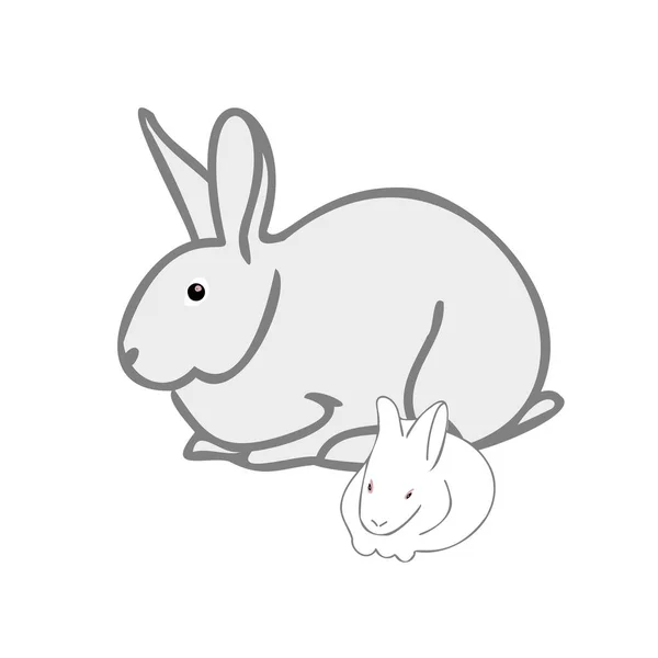 토끼가 있는 토끼 — 스톡 벡터