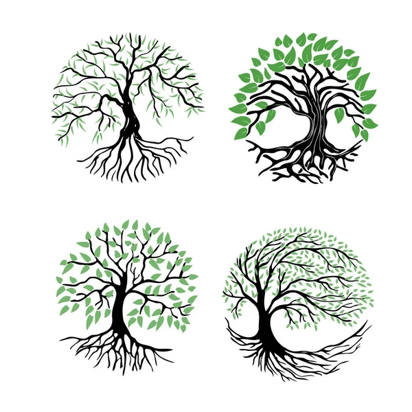 Uma árvore com raízes — Vetor de Stock
