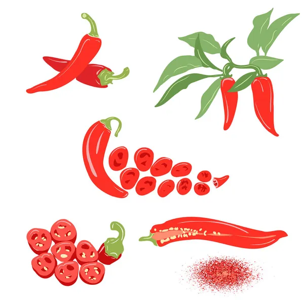 Chili biber vektörü seti.